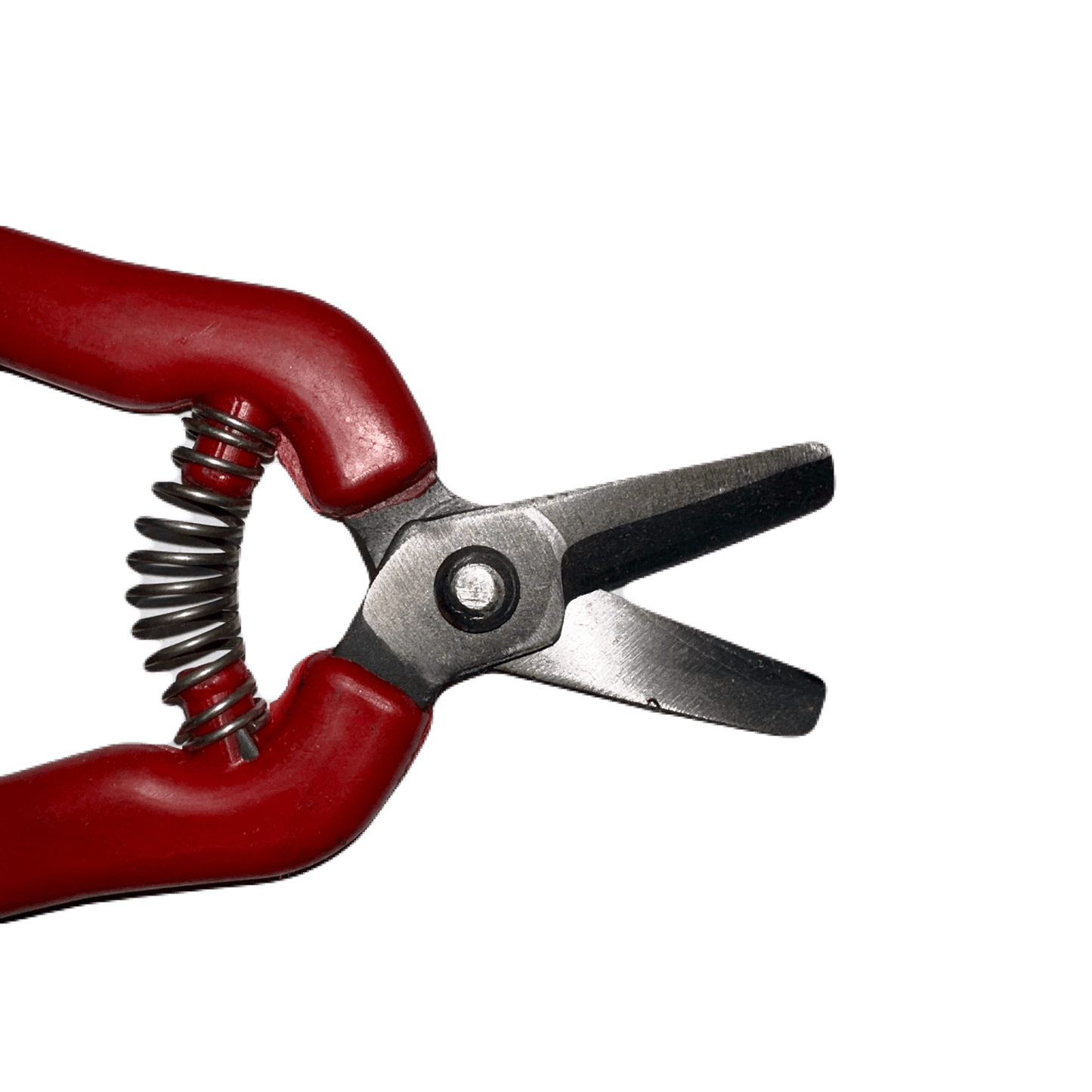 Narenciye Makası Düz Üç - Hepsigüvende.com